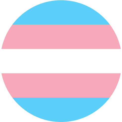trans flag icon